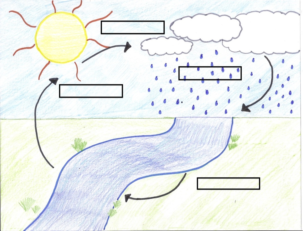 Blank Diagram Water Cycle Blank Diagram Water Cycle