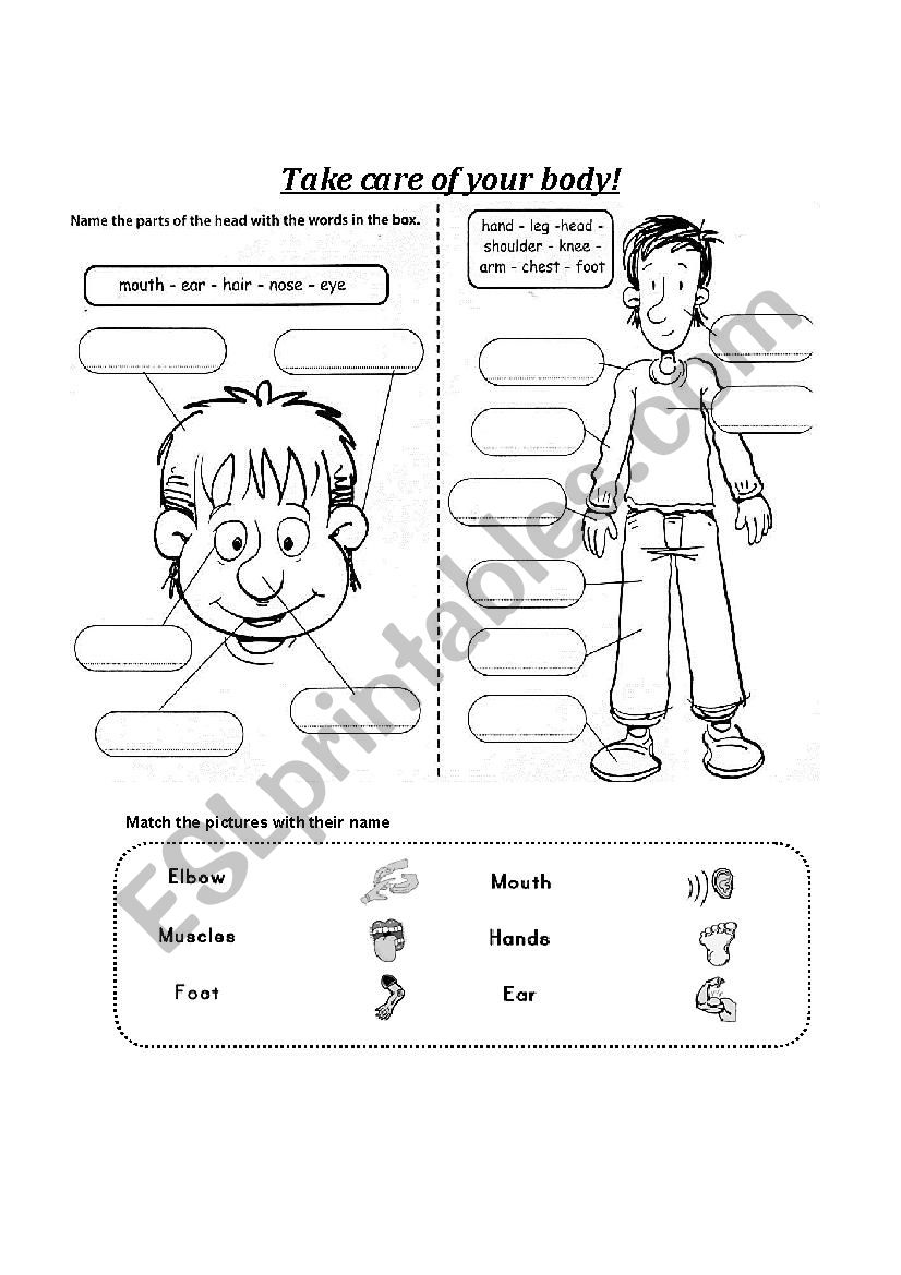 Body And Health ESL Worksheet By Frannytax3