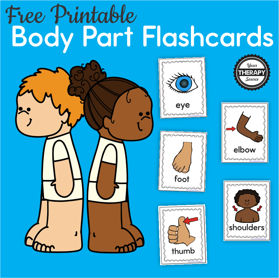 Body Part Flashcards Free Printables Your Therapy Source Body Part Flashcards Free Printables Your Therapy Source