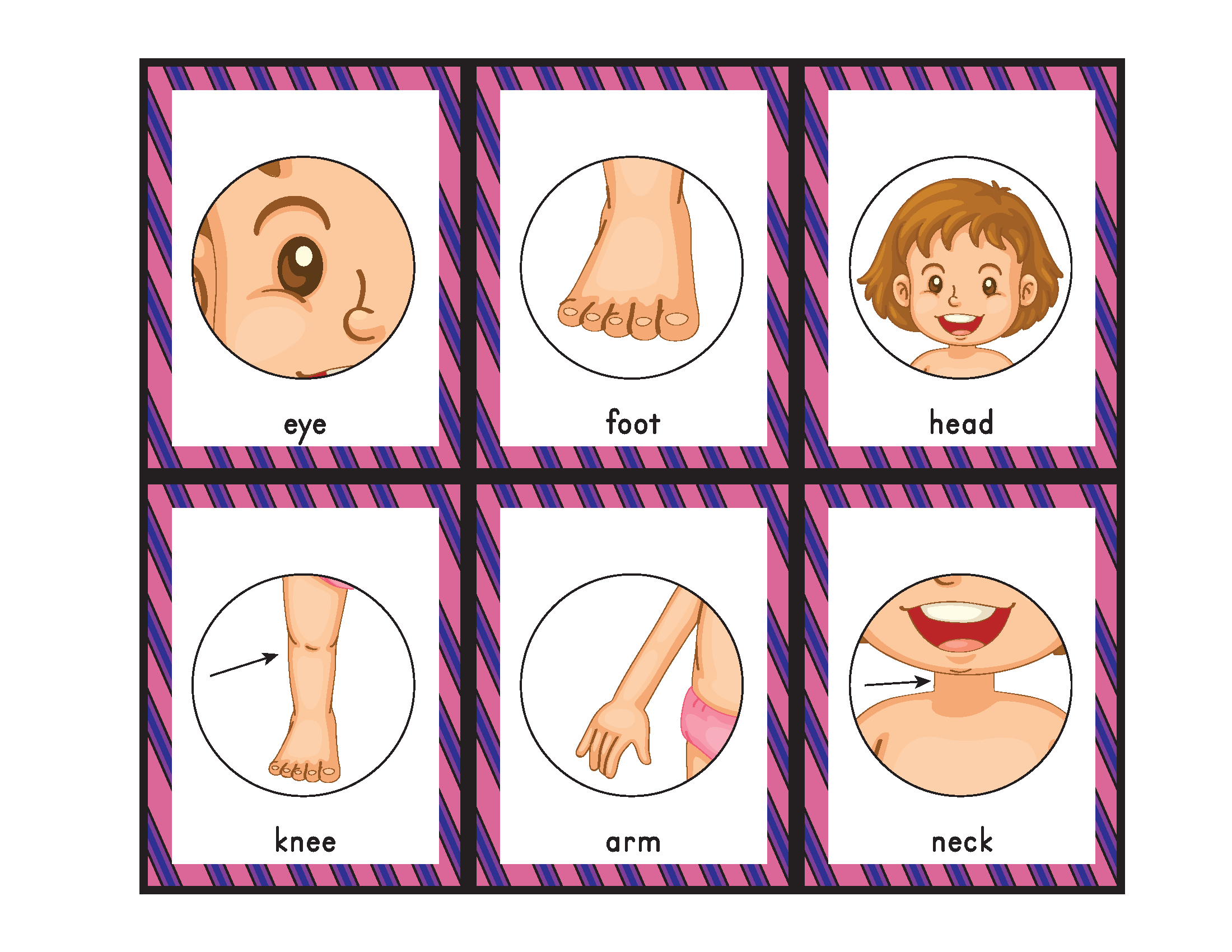 Body Parts Bingo Gift Of Curiosity Body Parts Bingo Gift Of Curiosity