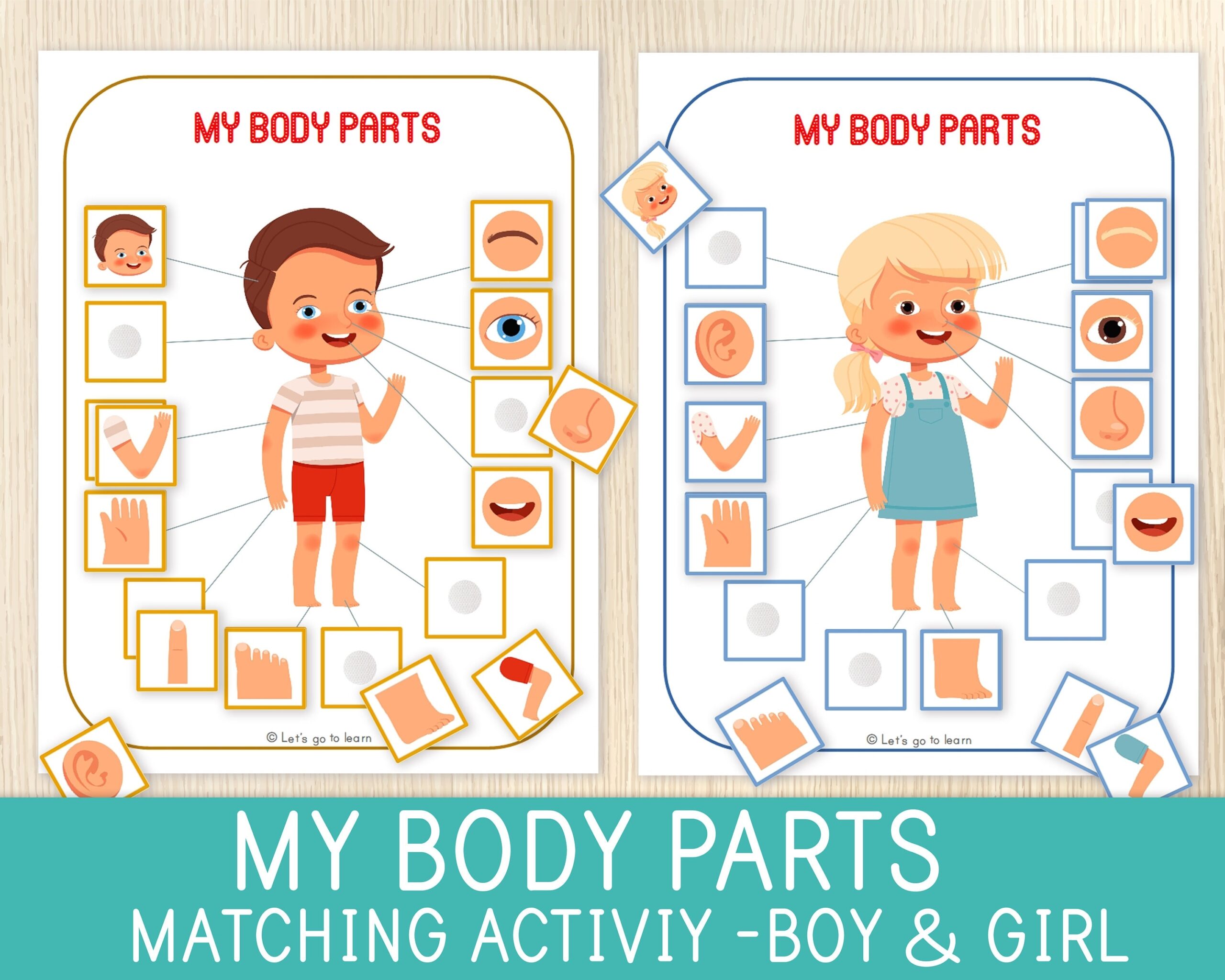Body Parts Matching Activity Human Body Toddler And Preschool Worksheets Library Body Parts Matching Activity Human Body Toddler And Preschool Worksheets Library