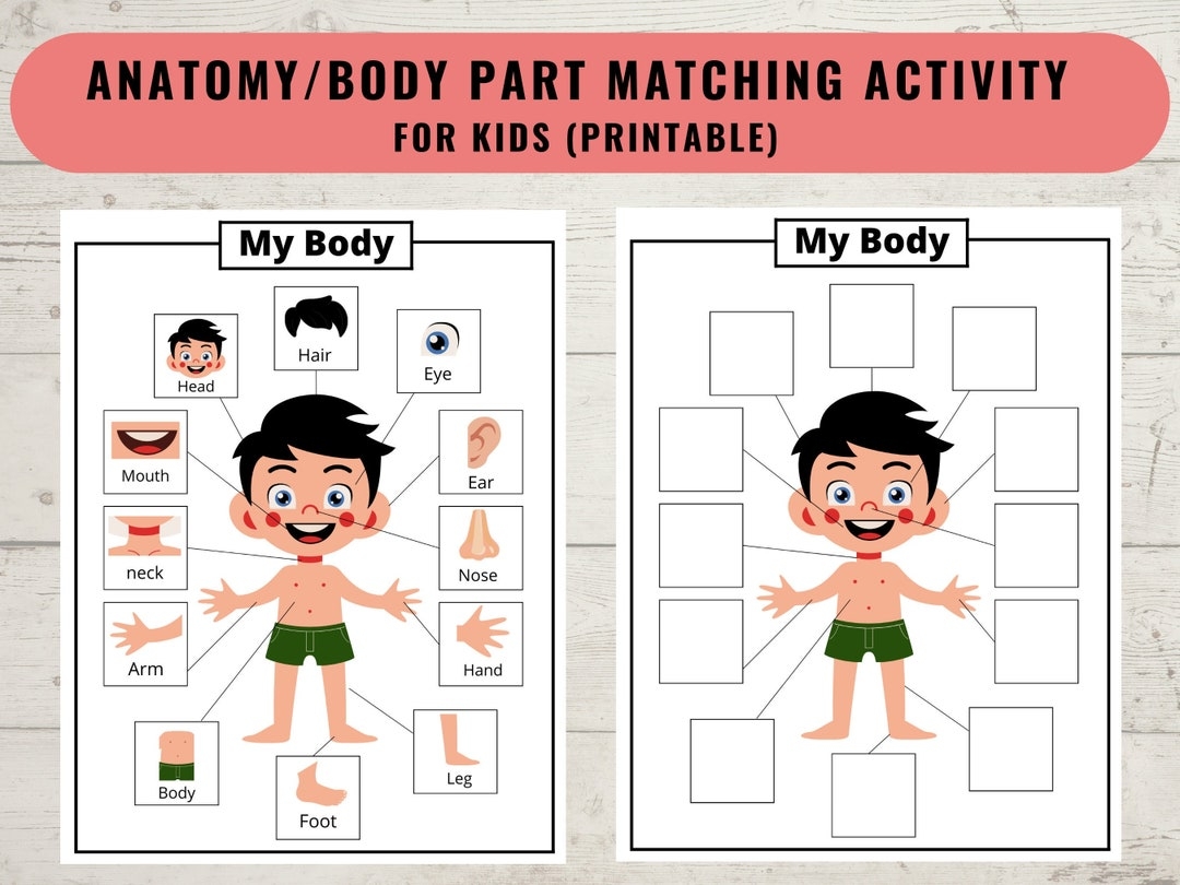 Body Parts Matching Body Parts Printable Activity For Kids Human Body Printable Matching Game Worksheet Coloring Page Homeschool Preschool Digital Download Body Parts Matching Body Parts Printable Activity For Kids Human Body Printable Matching Game Worksheet Coloring Page Homeschool Preschool Digital Download