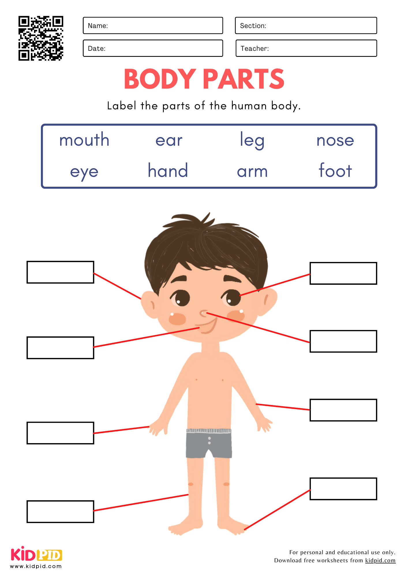 Body Parts Worksheet For Kindergarten Kidpid Body Parts Worksheet For Kindergarten Kidpid