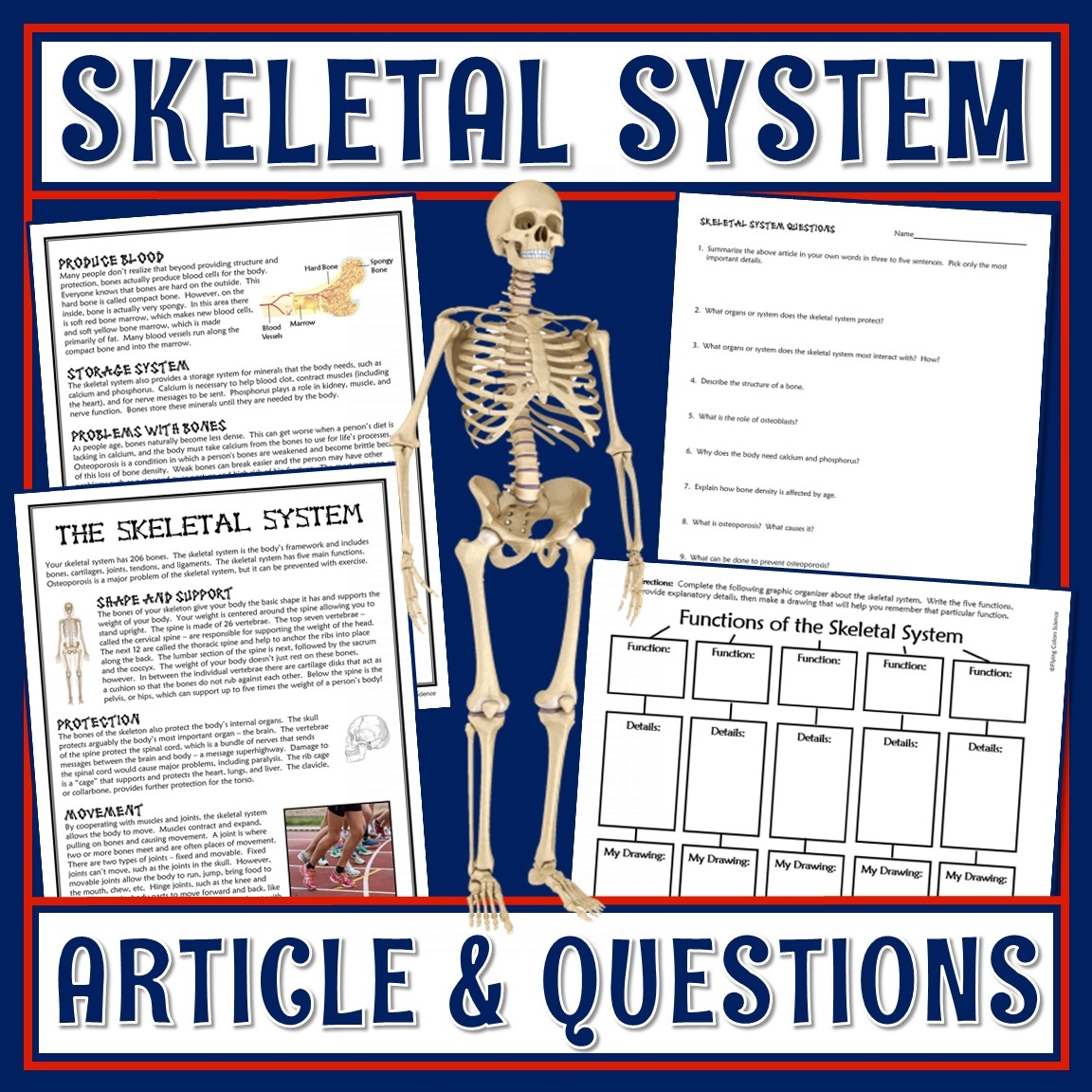 Bones And Skeletal System Reading And Worksheet Flying Colors Science Bones And Skeletal System Reading And Worksheet Flying Colors Science