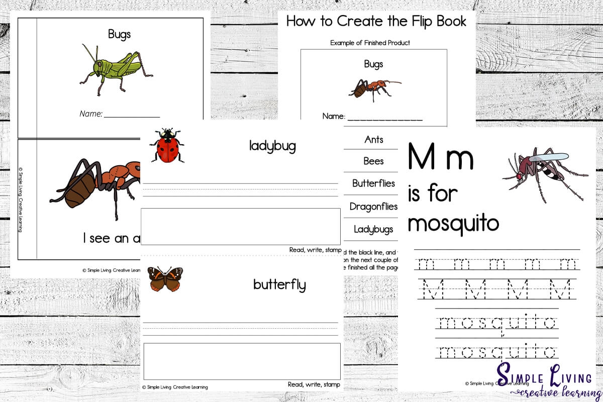 Preschool Bugs Printable Flip Book