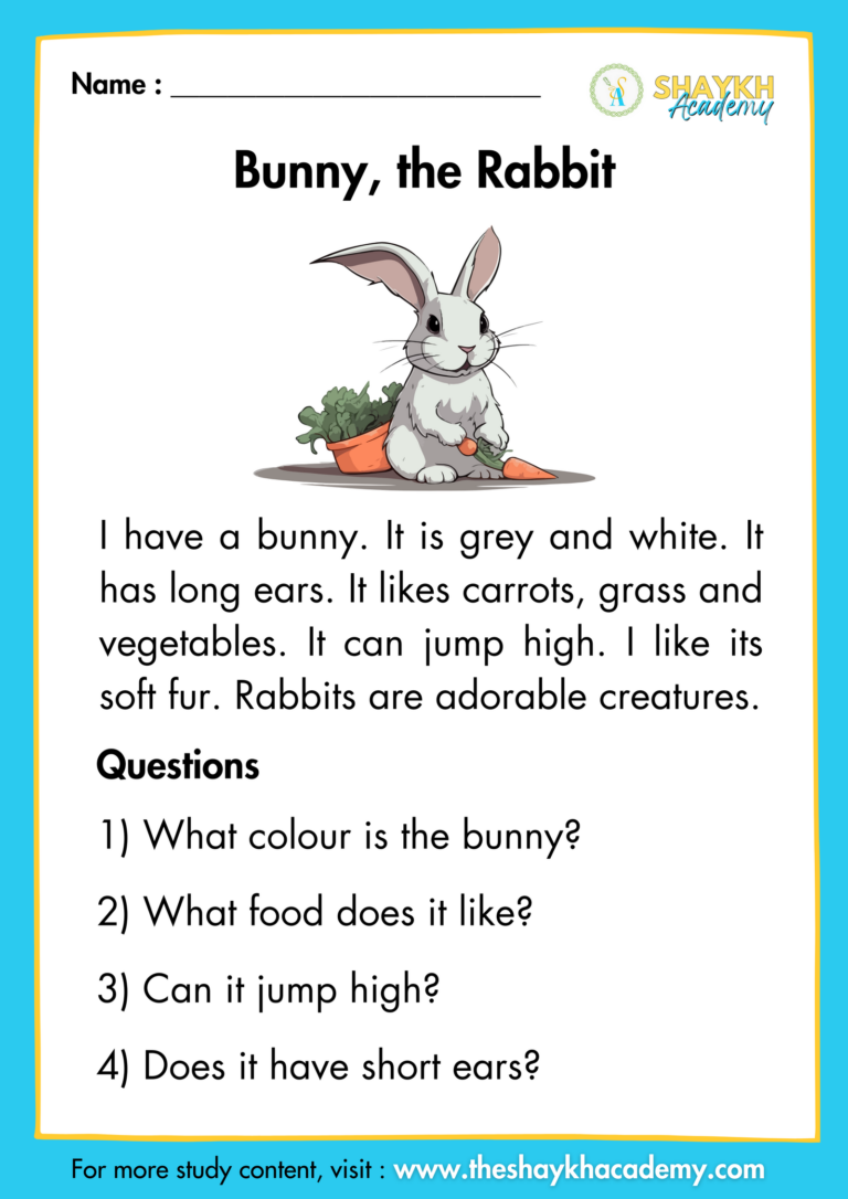 Bunny The Rabbit Comprehension Passages Comprehension Passages