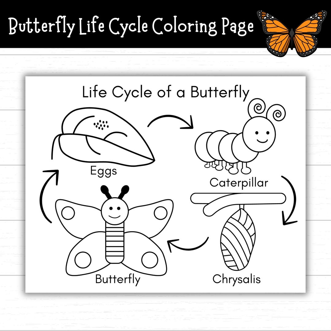 Butterfly Life Cycle Coloring Page Printable Life Cycle Of A Butterfly Activities Life Cycles Butterfly Activities Monarch Etsy Sweden Butterfly Life Cycle Coloring Page Printable Life Cycle Of A Butterfly Activities Life Cycles Butterfly Activities Monarch Etsy Sweden