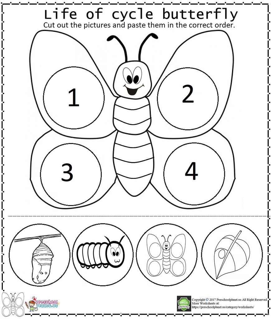 Butterfly Life Cycle Worksheet Download Free Printables For Kids Worksheets Library