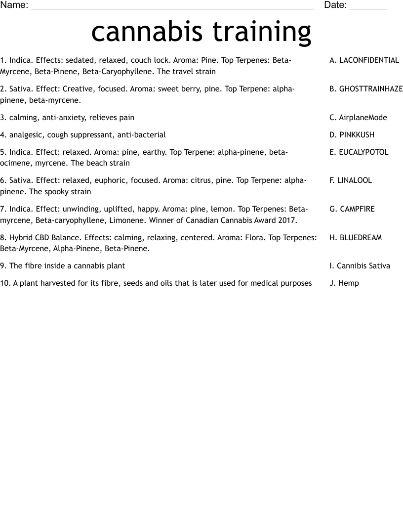 Cannabis Training Worksheet WordMint