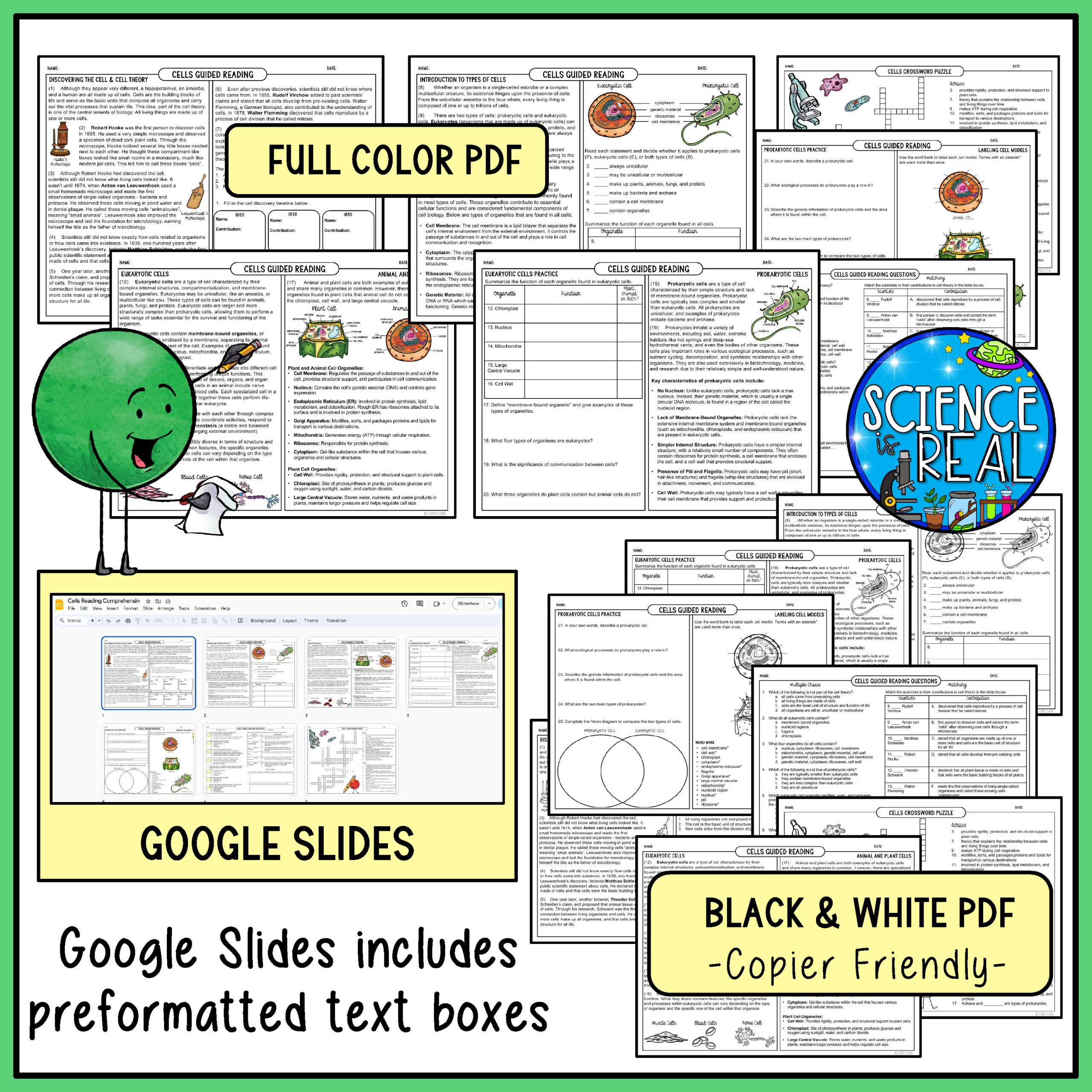 Cells Reading Comprehension Cell Theory Types Of Cells And Cells Reading Comprehension Cell Theory Types Of Cells And
