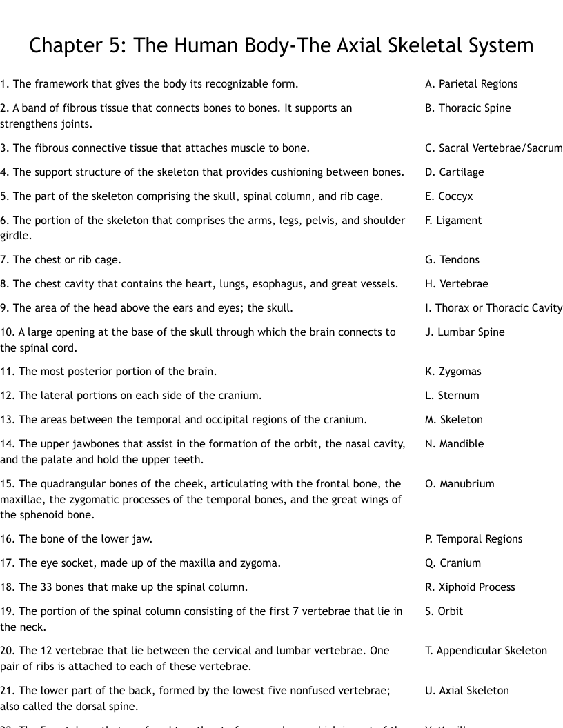Free Worksheets Skeletal System Grade 5 Free Worksheets Skeletal System Grade 5