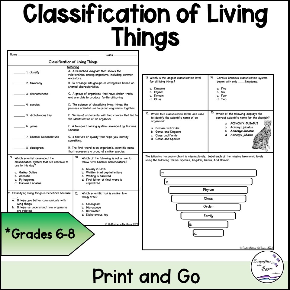 Classification Of Living Things Worksheet Classful Classification Of Living Things Worksheet Classful