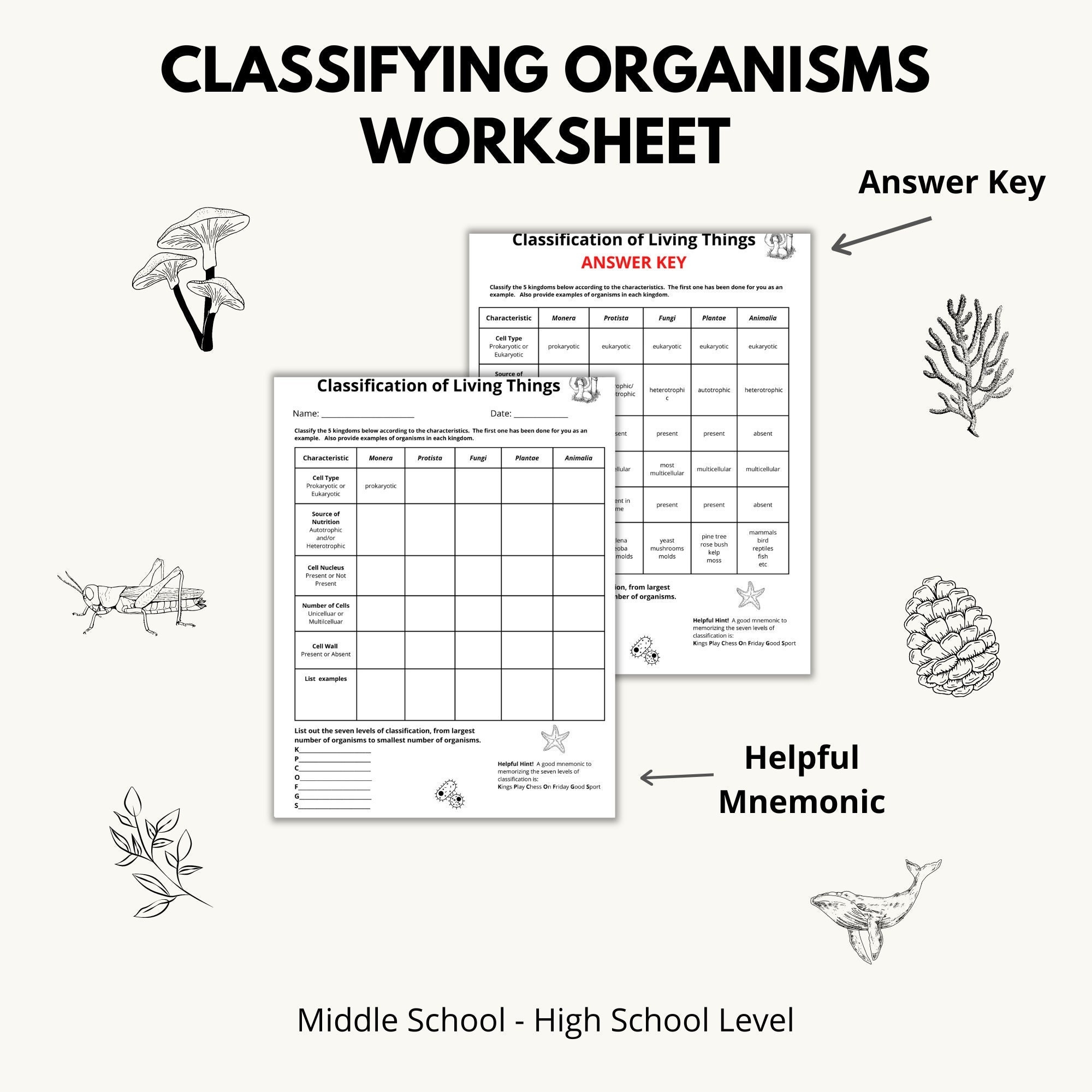 Classifying Organisms Worksheet Etsy Classifying Organisms Worksheet Etsy