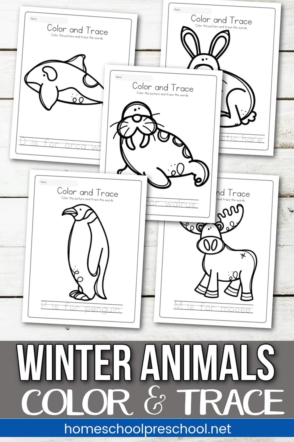 Preschool Printable Arctic Animal Worksheets Preschool