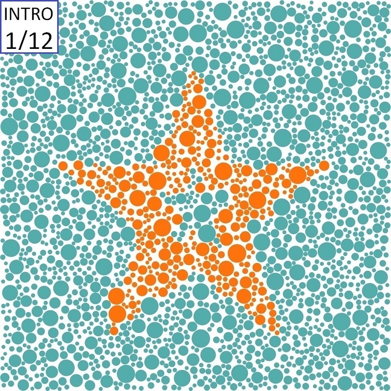 Color Blind Test For Kids