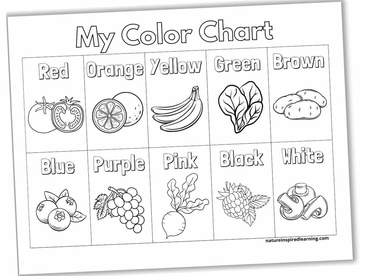 Color Charts Plus Activity Ideas Nature Inspired Learning Color Charts Plus Activity Ideas Nature Inspired Learning
