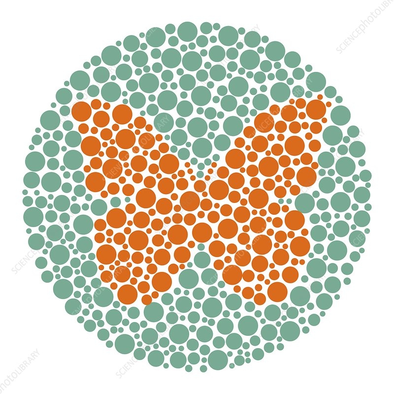 Colour Blindness Test Chart Illustration Stock Image C049 7209 Science Photo Library Colour Blindness Test Chart Illustration Stock Image C049 7209 Science Photo Library