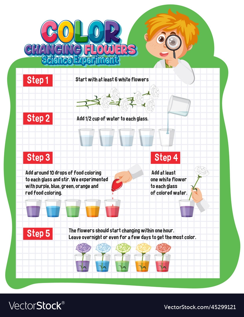 Colour Changing Flowers Science Experiment A Fun Science Worksheets Library