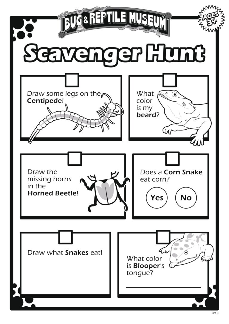 Complete Scavengers Hunts At The Museum For A Prize Print FREE 