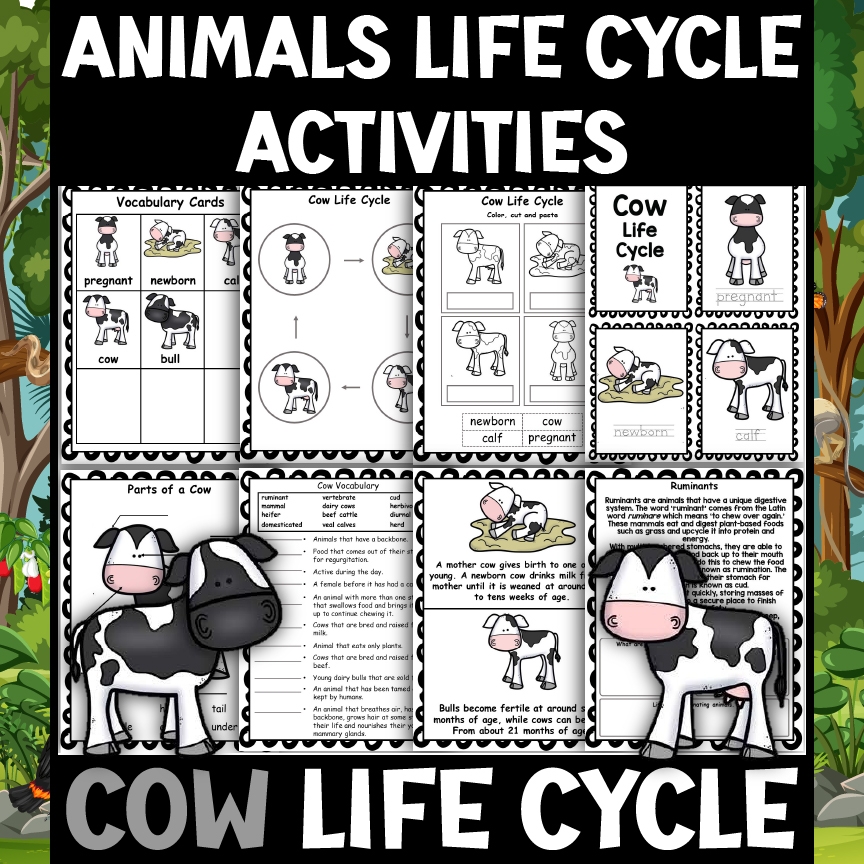 Free Printable Cow Worksheets