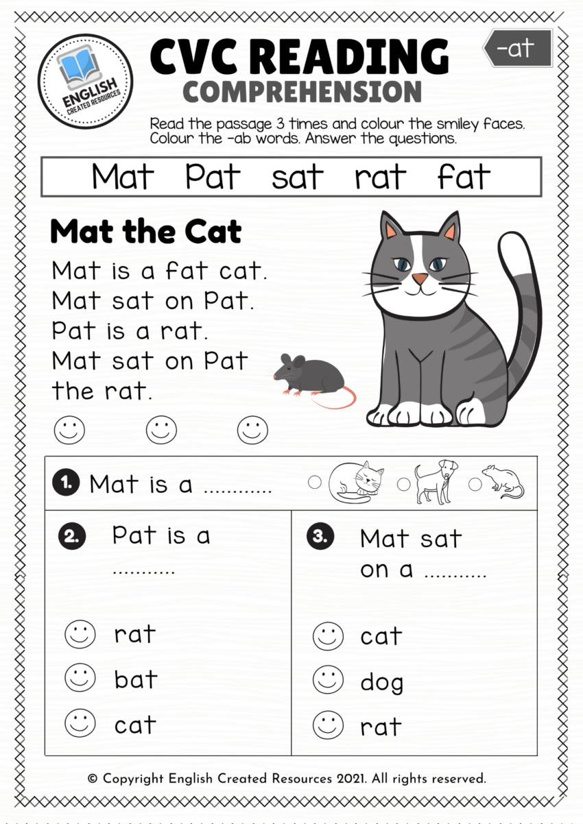 CVC Words Reading Comprehension English Created Resources