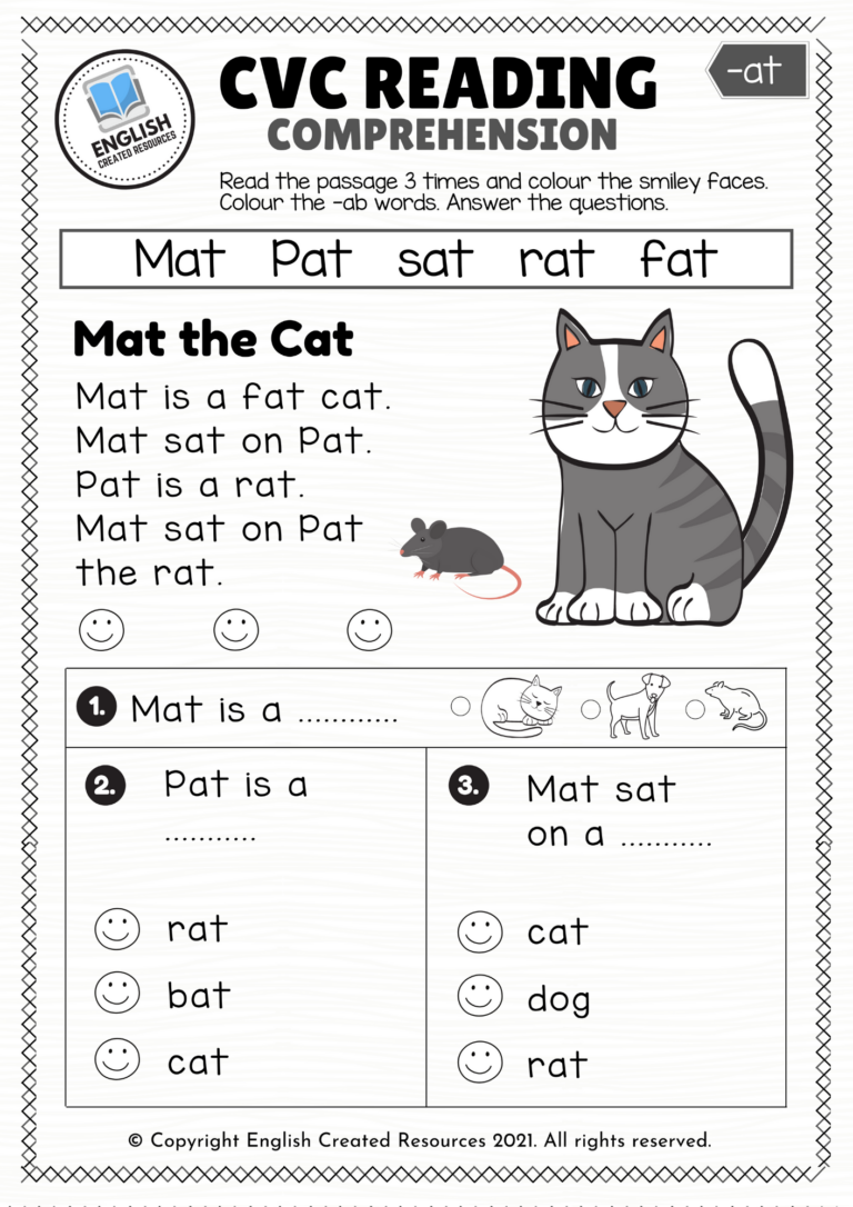 CVC Words Reading Comprehension English Created Resources