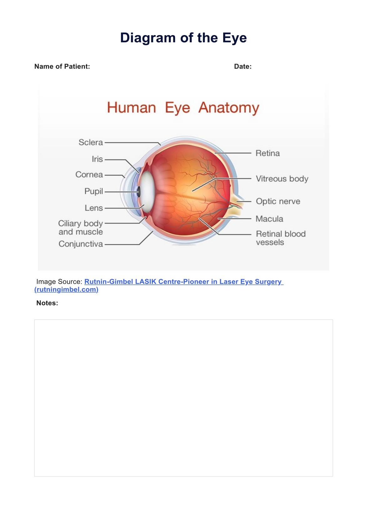 Diagram Of The Eye