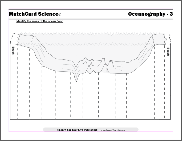 Diagram Of The Ocean Floor