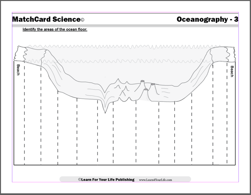 Diagram Of The Ocean Floor