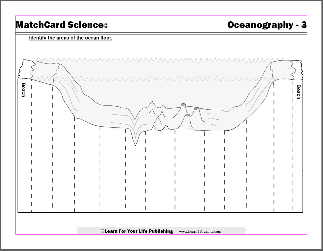 Diagram Of The Ocean Floor Diagram Of The Ocean Floor