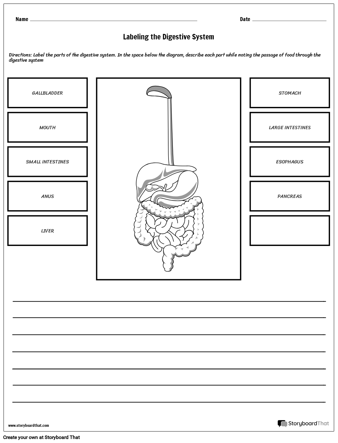 Digestive System Labeling Free Worksheet Storyboard That