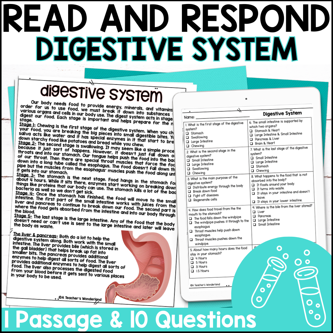 Digestive System Reading Comprehension U0026 Quiz Digital Or Paper Science Centers A Teacher s Wonderland Digestive System Reading Comprehension U0026 Quiz Digital Or Paper Science Centers A Teacher s Wonderland