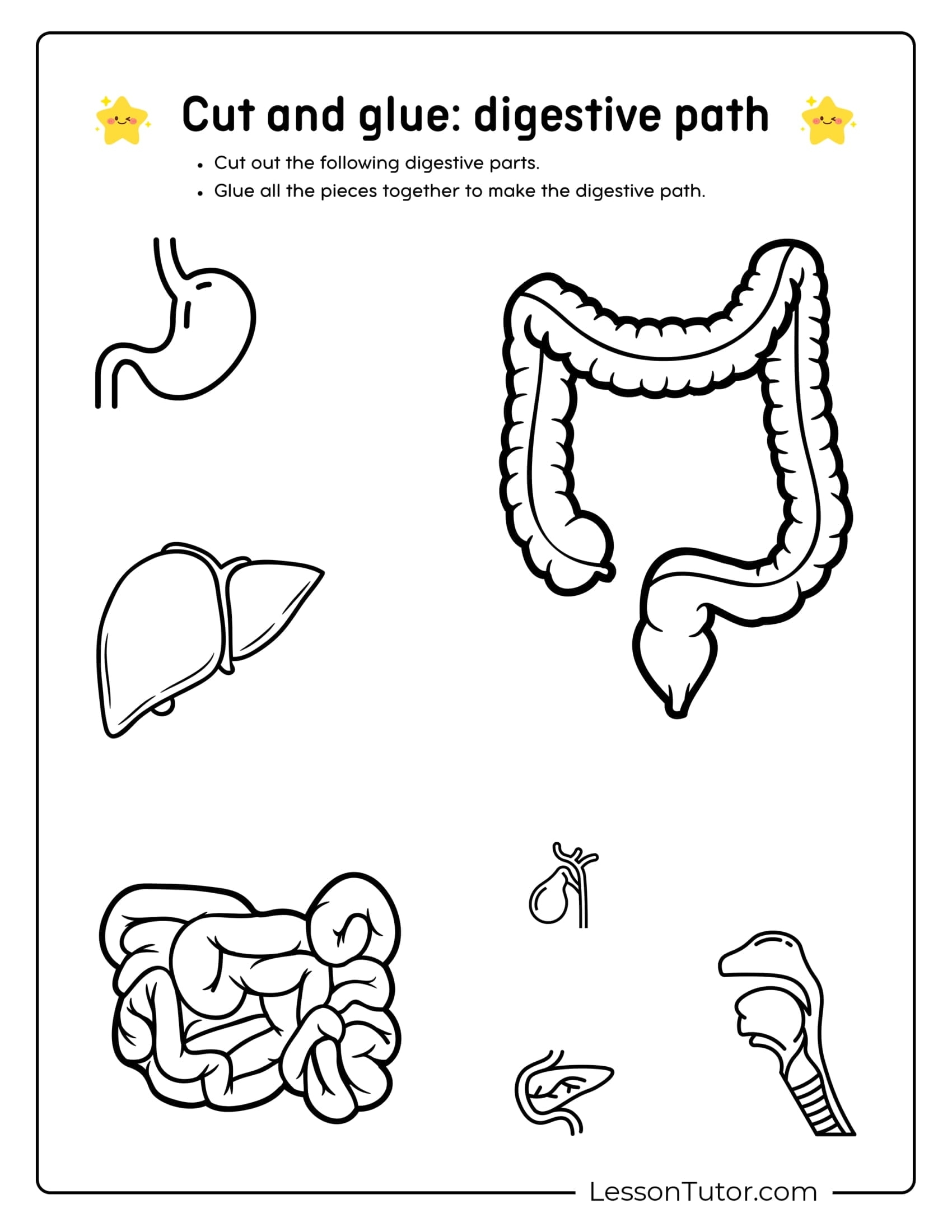 Printable Digestive System Labeling Worksheet