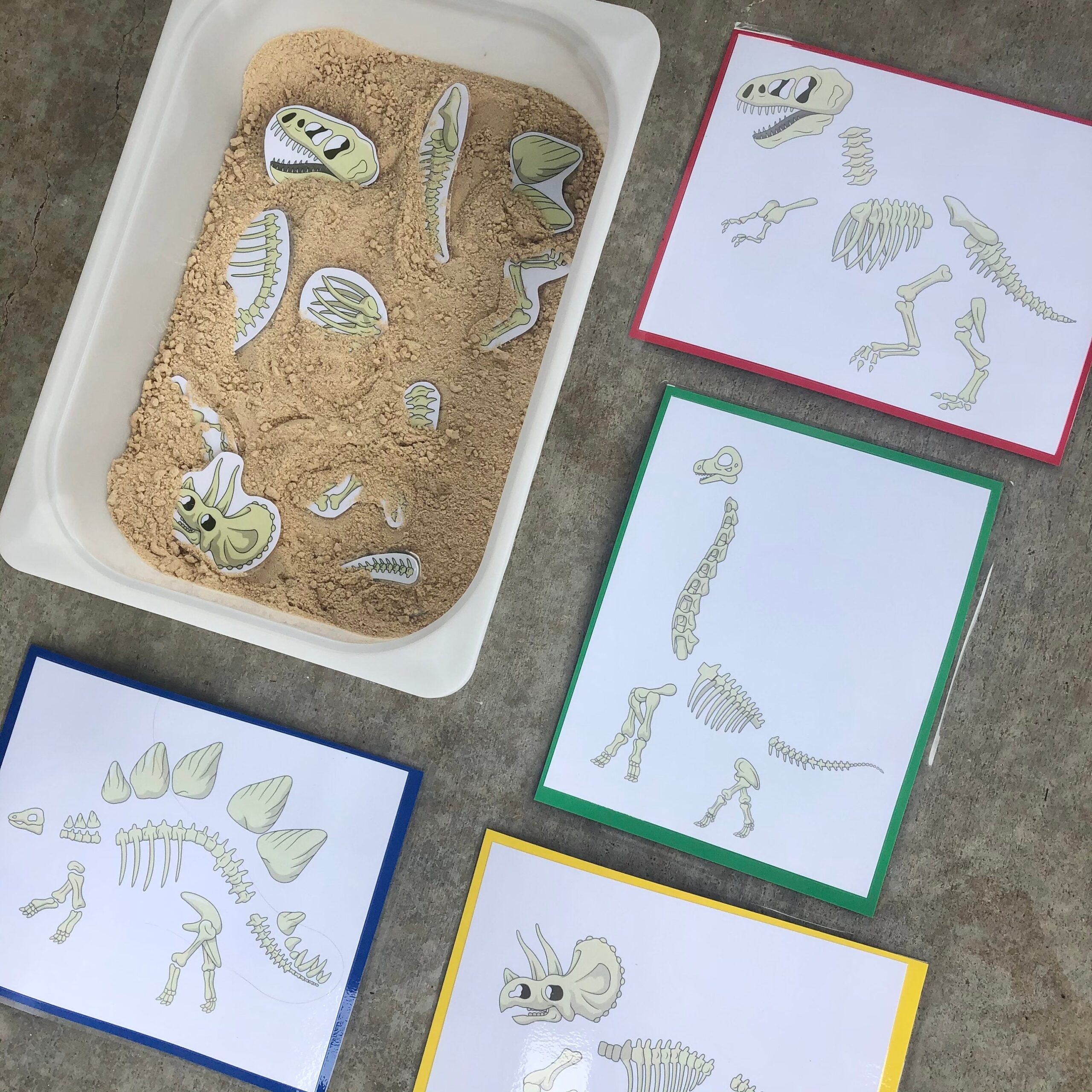 Dinosaur Bones Fossil Match Toddler Child Activity DIY Printable PDF File With Activity Guide Etsy Canada