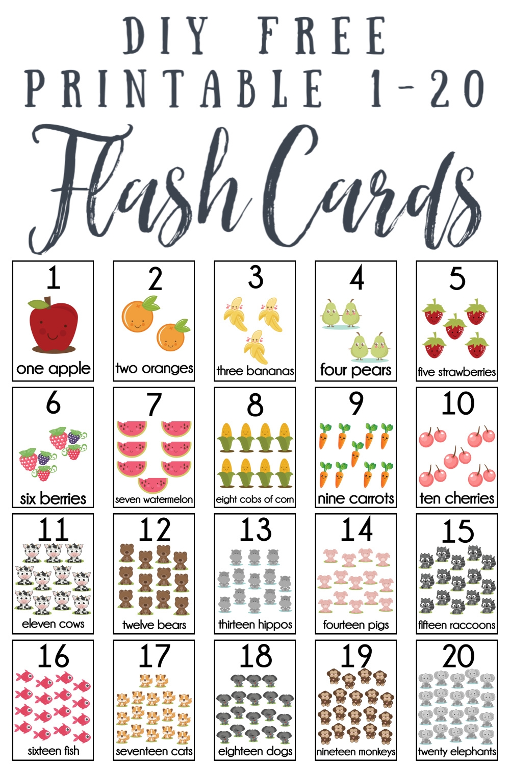 Free Printable Flash Cards Preschoolers
