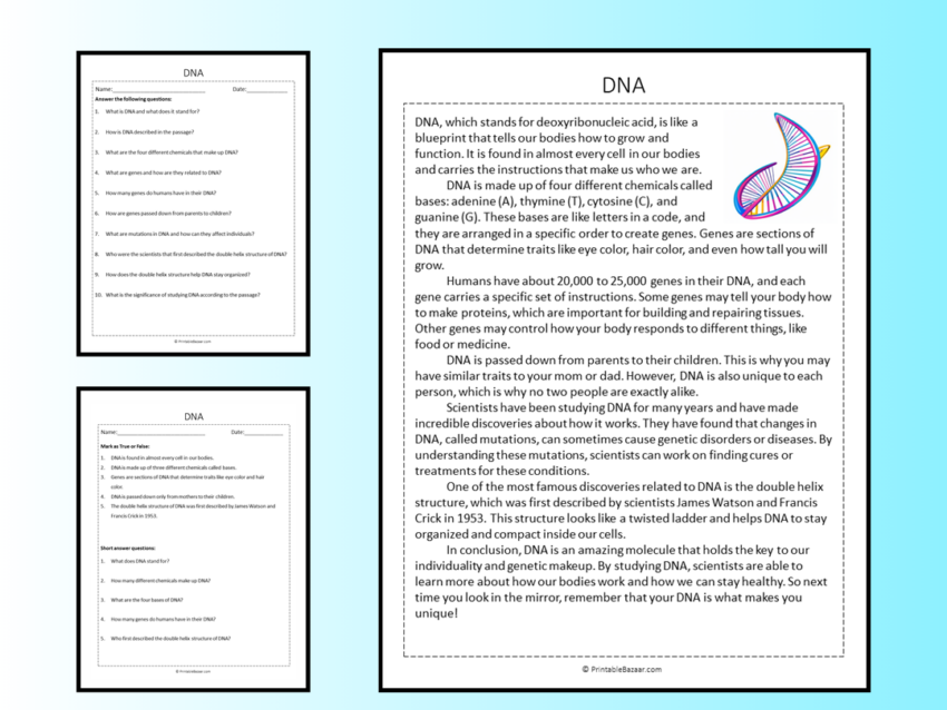 DNA Reading Comprehension Passage Printable Worksheet Teaching Resources