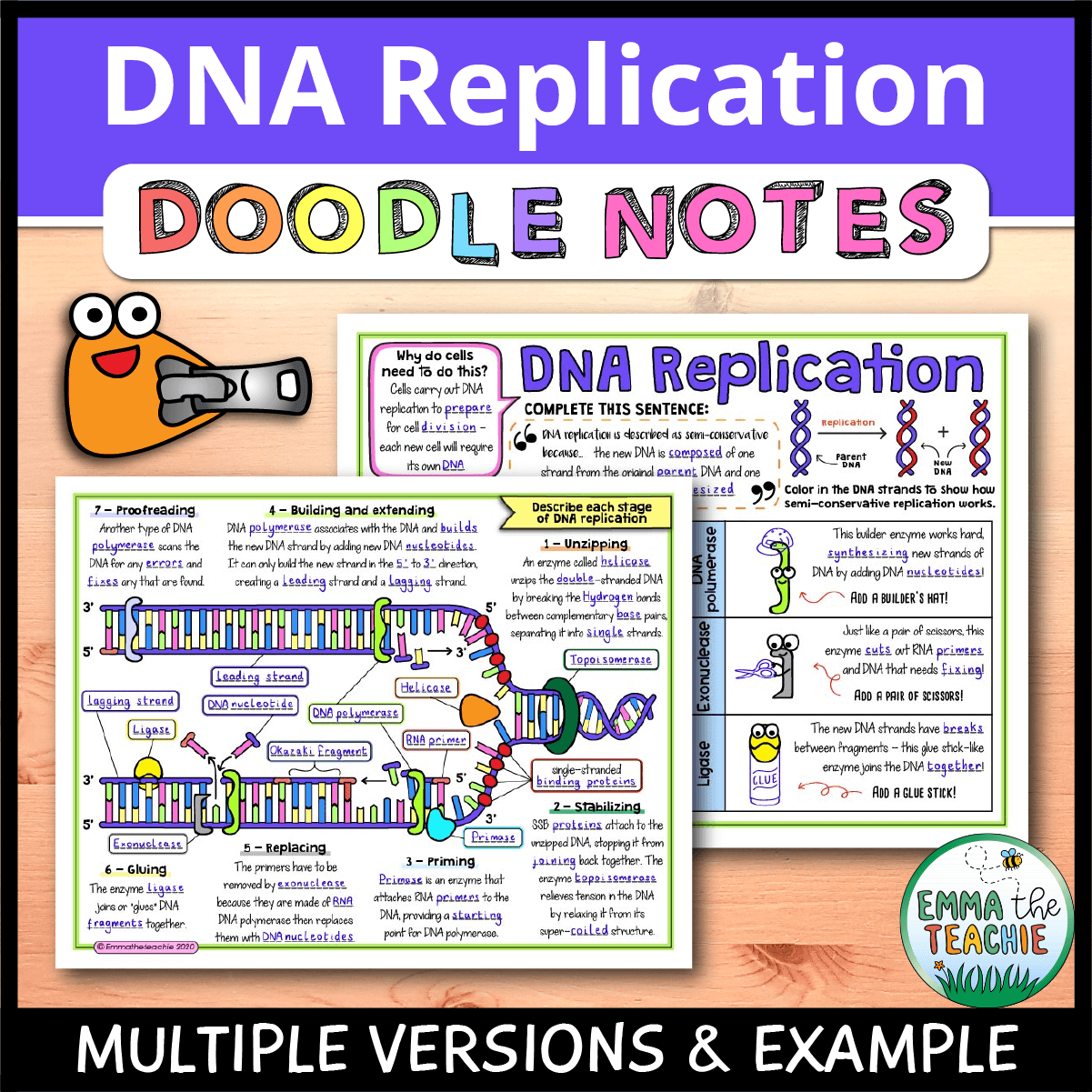 DNA Replication Doodle Notes Emmatheteachie DNA Replication Doodle Notes Emmatheteachie
