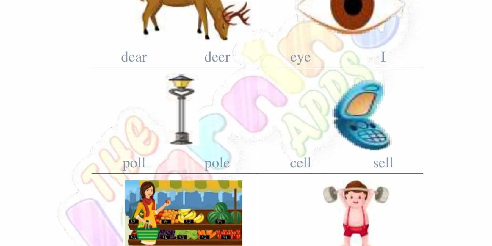 Download Free Printable Homonyms Worksheets For 3rd Grade Download Free Printable Homonyms Worksheets For 3rd Grade
