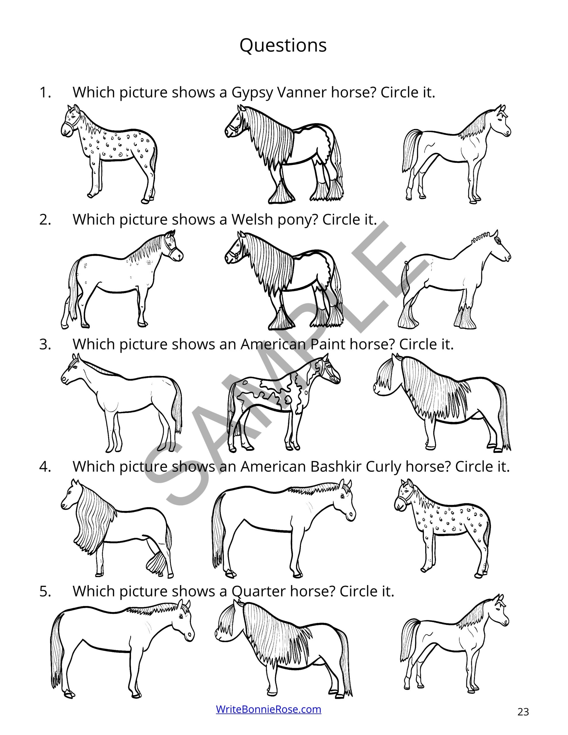 Draw And Explore Science Breeds Of Horses Made By Teachers