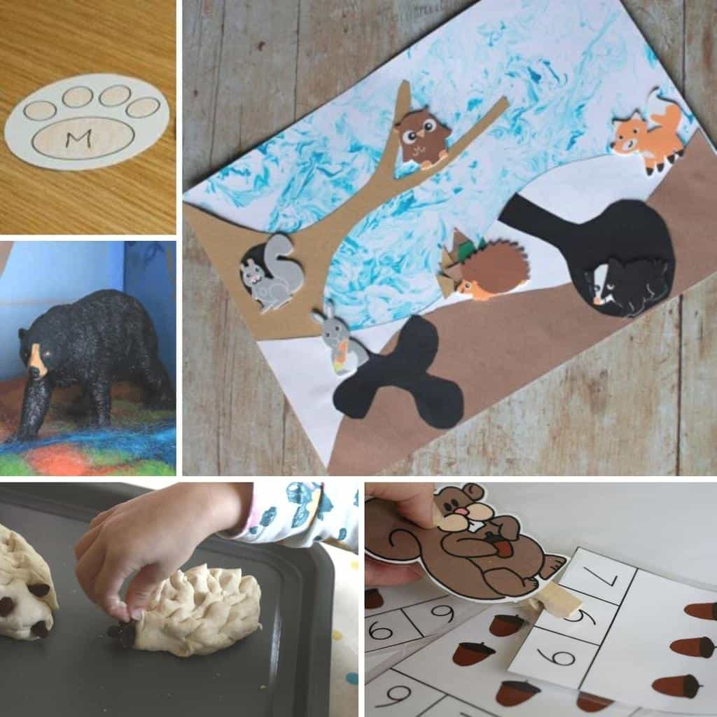 Hibernation Printables For Preschool