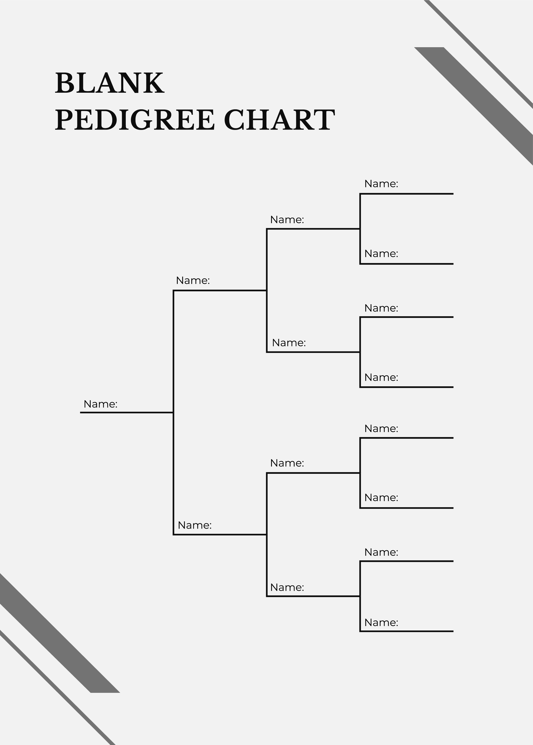Easygenie 10 EasyGenie 10 Pack Six Generation Family Tree Charts 17 x22 Archival Paper Genealogy Chart Easygenie 10 EasyGenie 10 Pack Six Generation Family Tree Charts 17 x22 Archival Paper Genealogy Chart