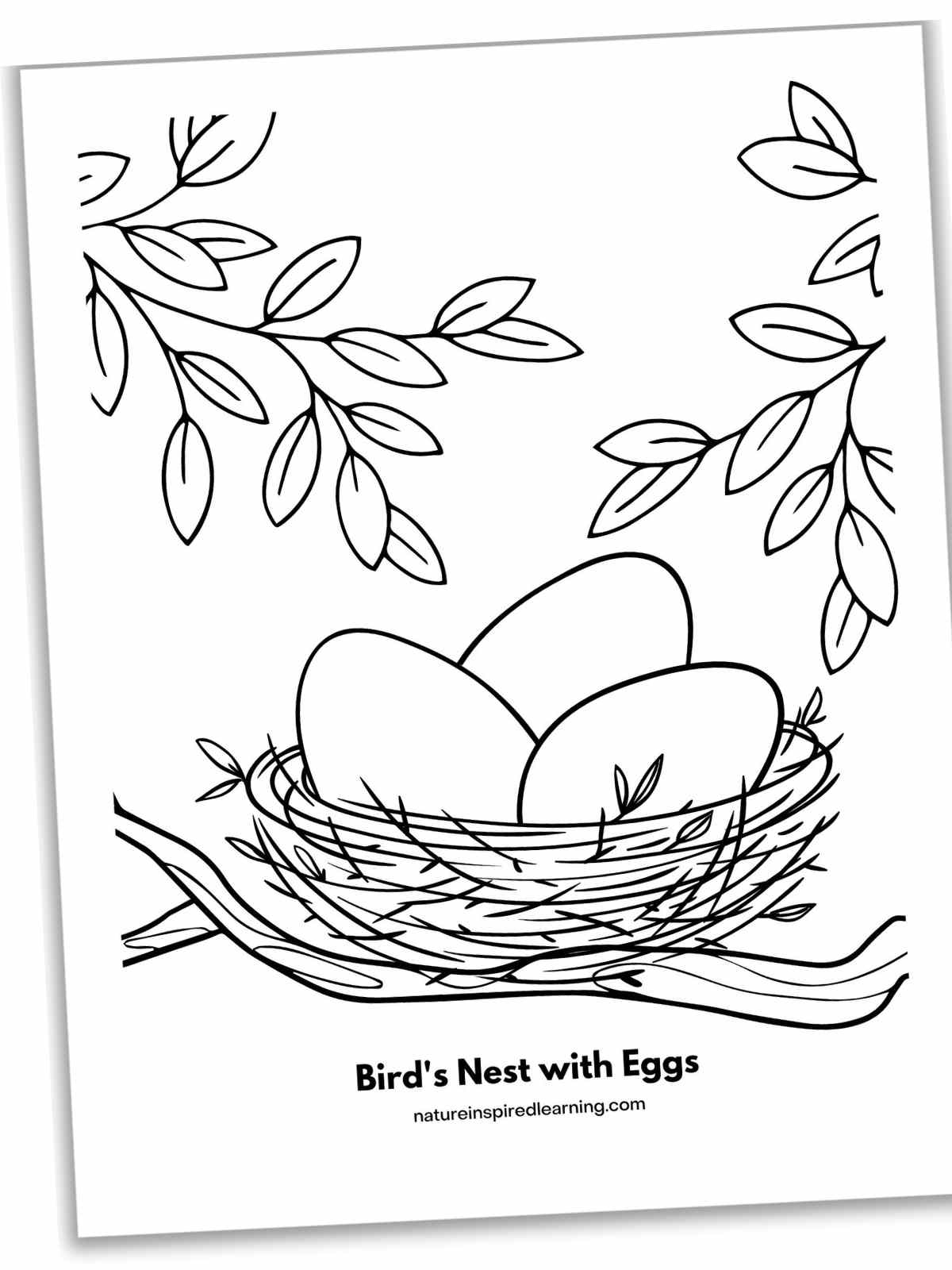 Preschool Nests Printables Preschool Nests Printables