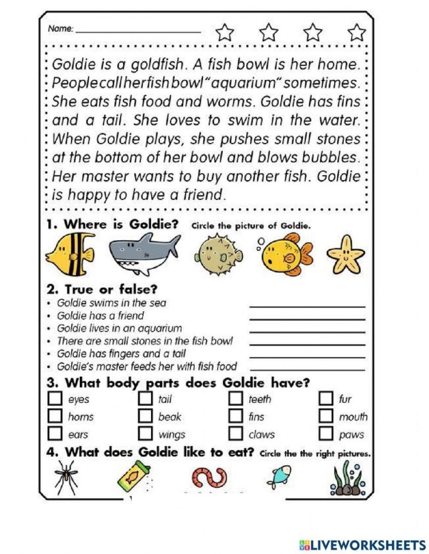 English Test 3rd Grade Reading Worksheet Live Worksheets