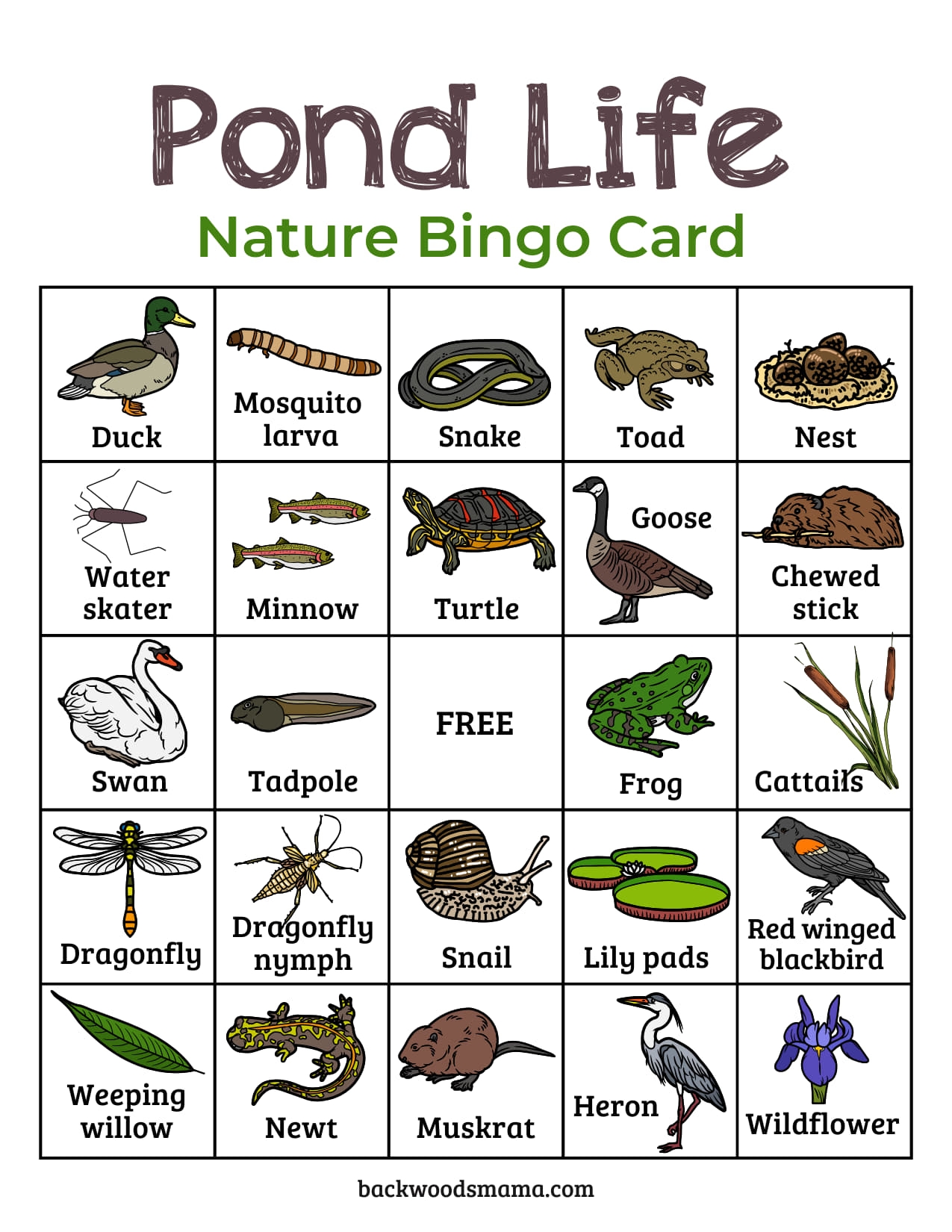 Pond Life Printables For Preschoolers Pond Life Printables For Preschoolers