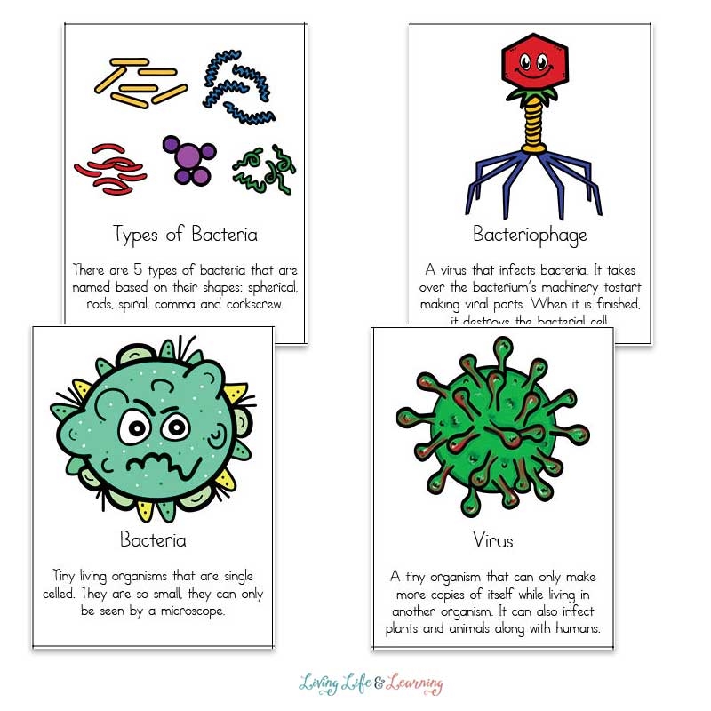 Fighting Germs Printable Cards Fun Learning For Kids
