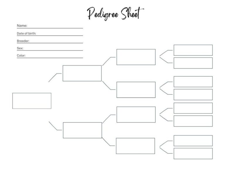 FILLABLE Pedigree Sheet Farm Planner Insert Tracks Names Breed And Pedigree Etsy