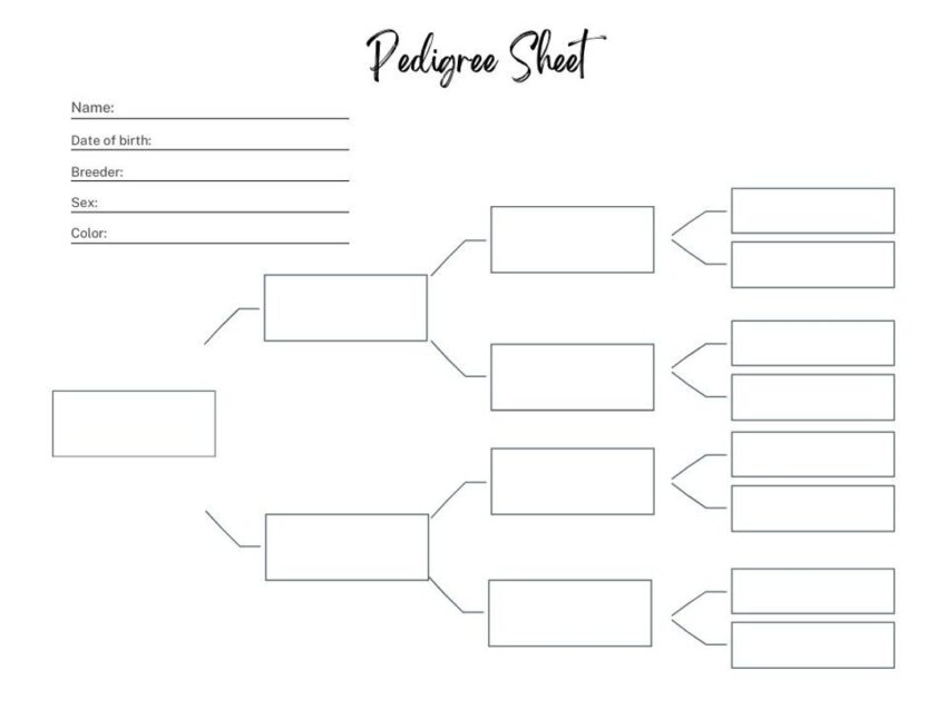 FILLABLE Pedigree Sheet Farm Planner Insert Tracks Names Breed And Pedigree Etsy