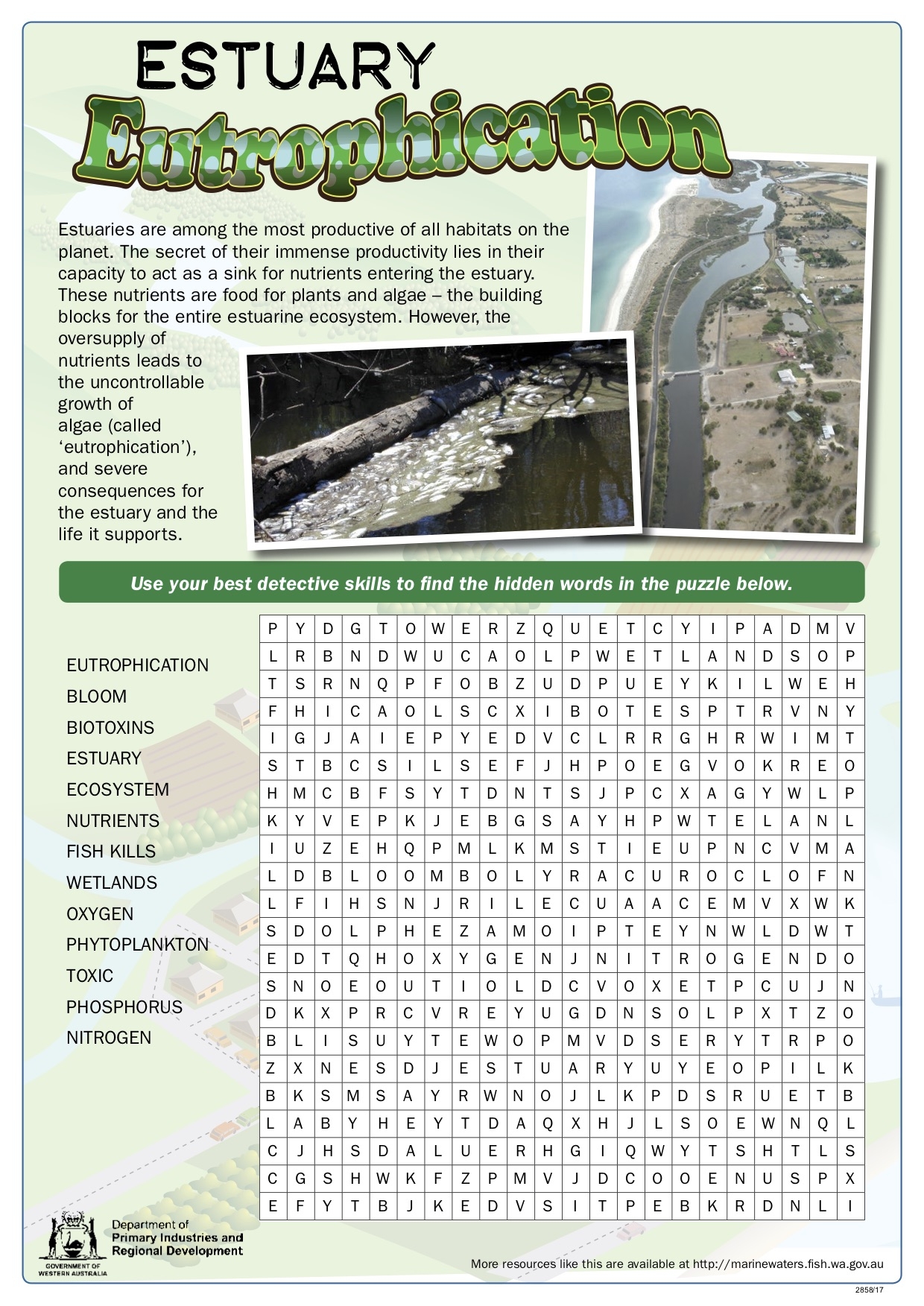 Fishy Fun Sheet Estuary Eutrophication Word Search Department Of Primary Industries And Regional Development Fishy Fun Sheet Estuary Eutrophication Word Search Department Of Primary Industries And Regional Development