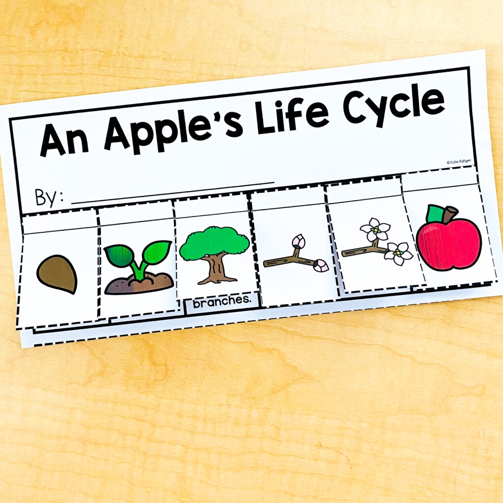 Free Printable Apple Life Cycle Worksheet Free Printable Apple Life Cycle Worksheet