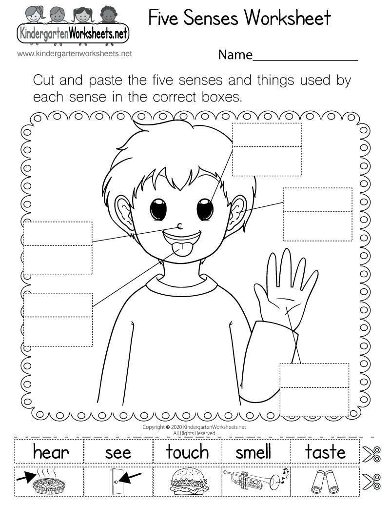 Five Senses Worksheet Free Printable Digital U0026 PDF Five Senses Worksheet Free Printable Digital U0026 PDF